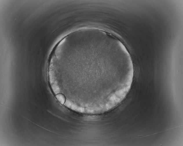 X0000103971522200810311514