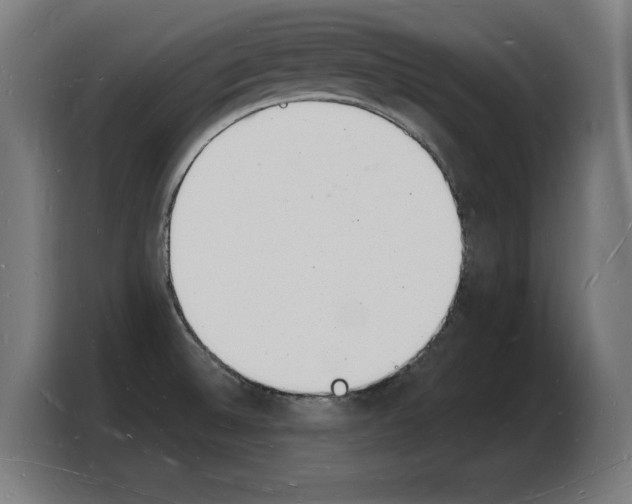 X0000103971524200810311514