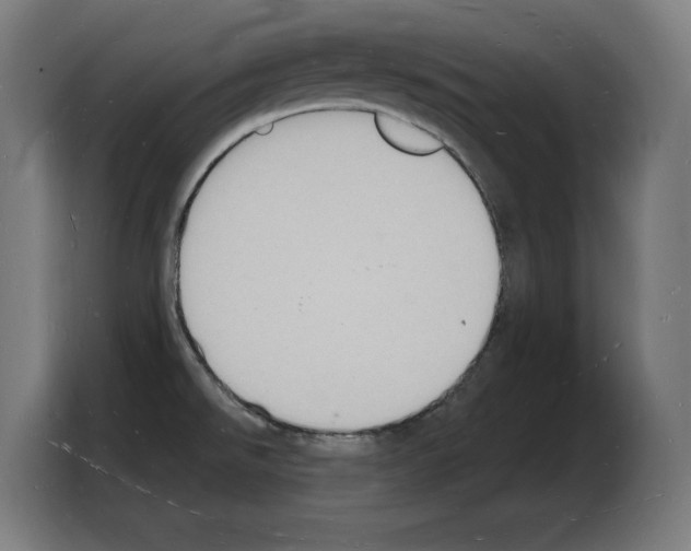 X0000103971526200810311514