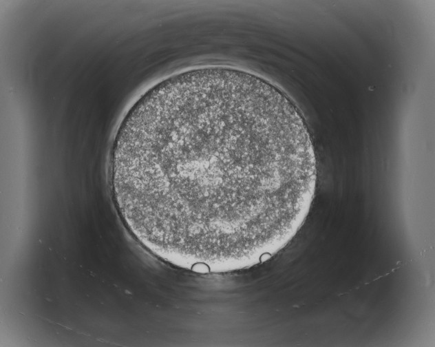 X0000103971527200810311514