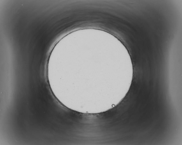 X0000103971528200810311514