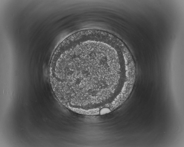 X0000103971529200810311514