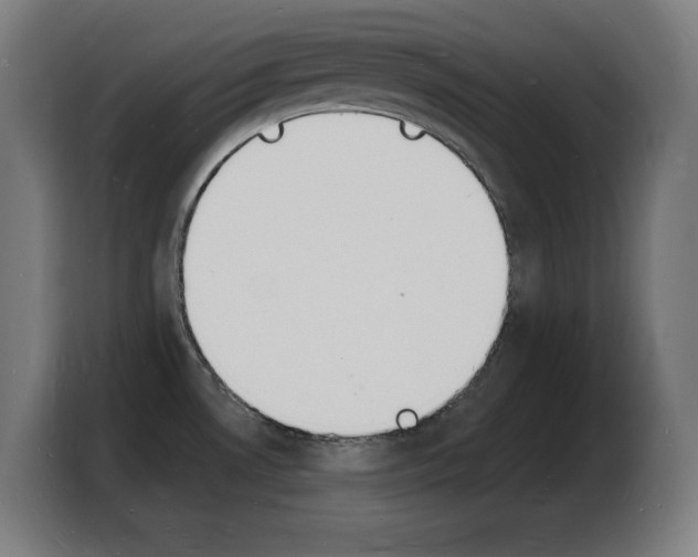 X0000103971530200810311514