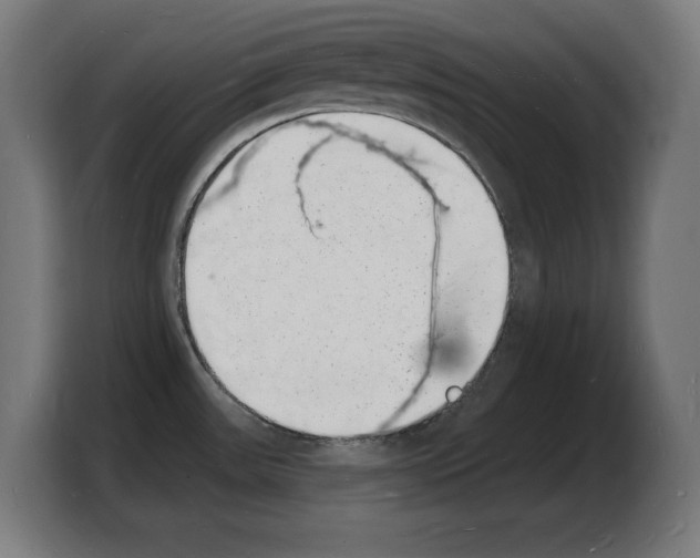 X0000103971531200810311514