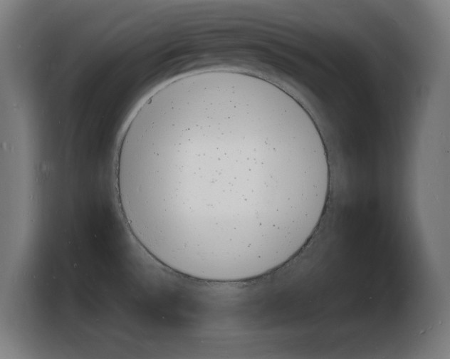 X0000103971532200810311514