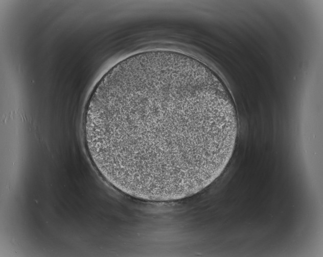 X0000103971533200810311514