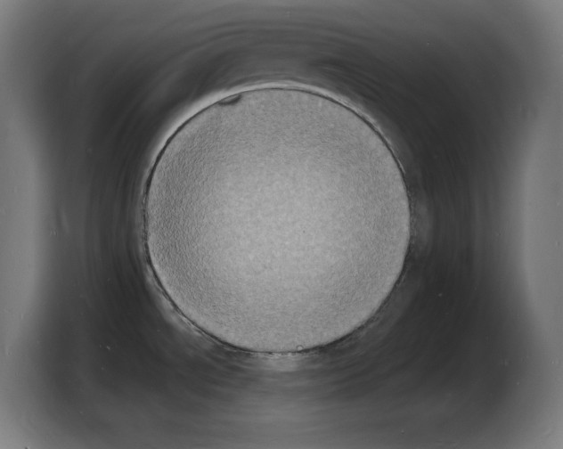 X0000103971534200810311514