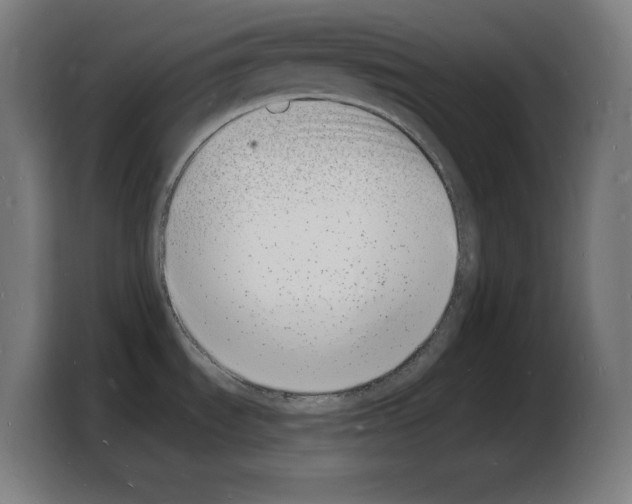 X0000103971535200810311514