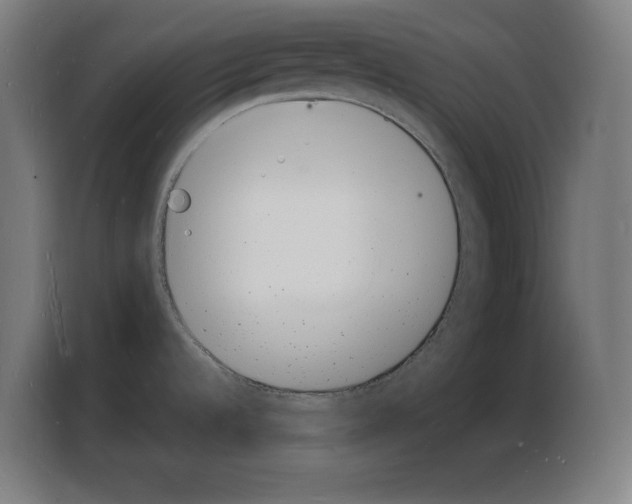X0000103971536200810311514