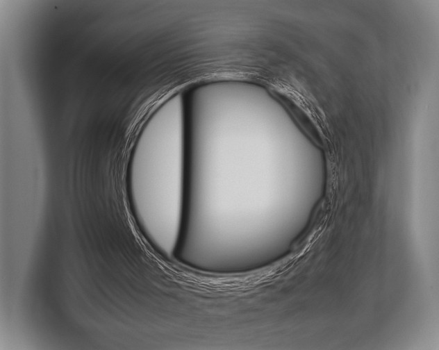 X0000108480001200904031129