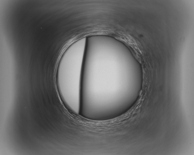 X0000108480003200904031129