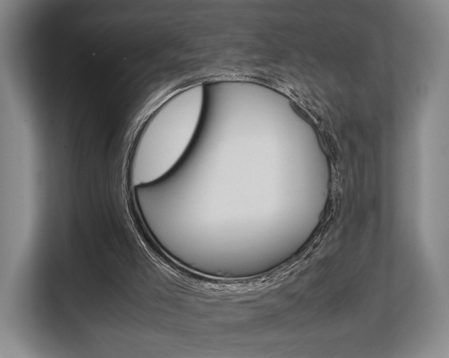 X0000108480005200904031129