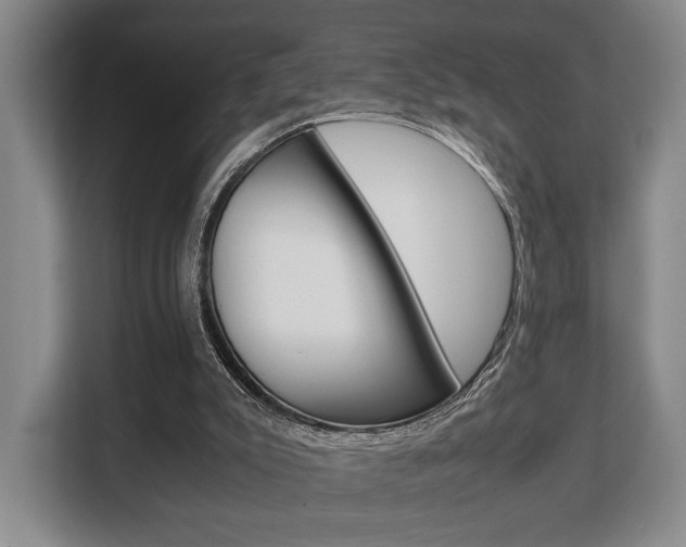 X0000108480007200904031129