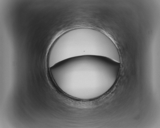 X0000108480008200904031129
