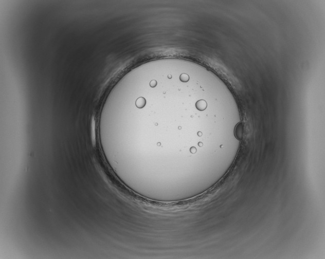 X0000108480014200904031128