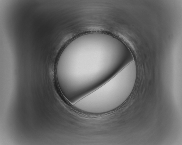 X0000108480015200904031128