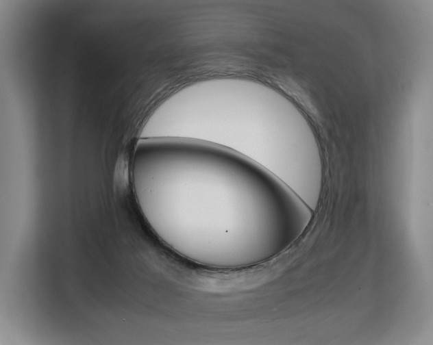 X0000108480021200904031128