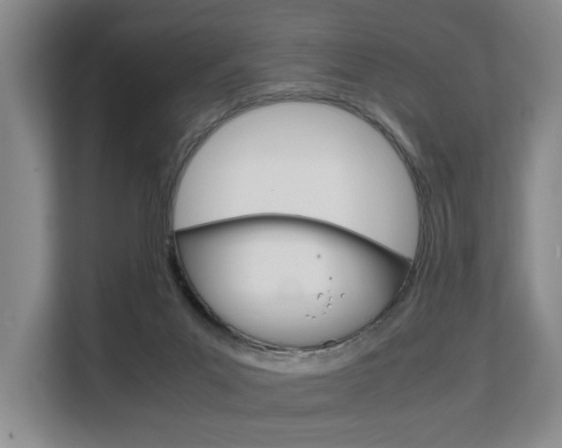X0000108480023200904031128