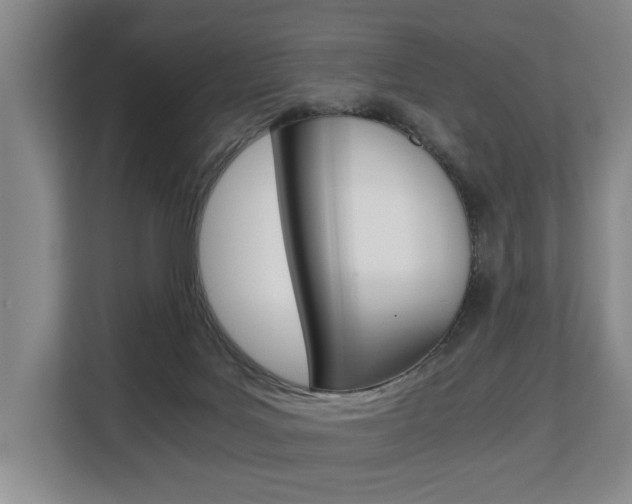 X0000108480027200904031128