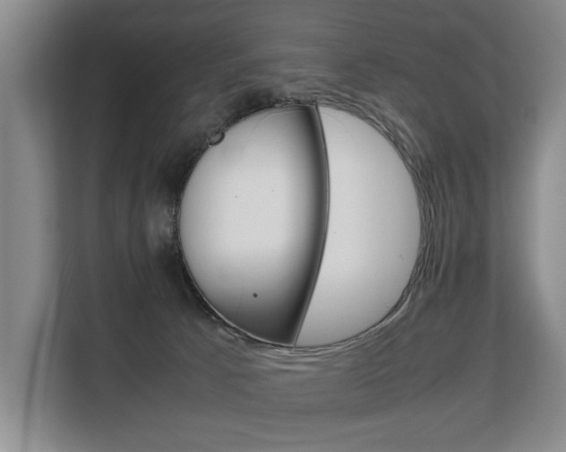 X0000108480033200904031128