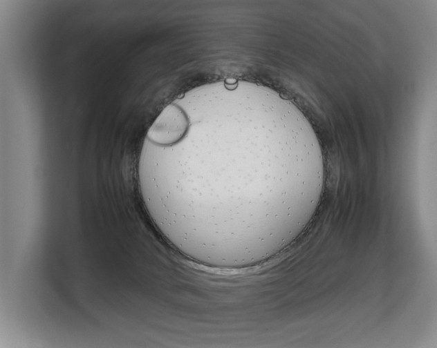 X0000108480034200904031128