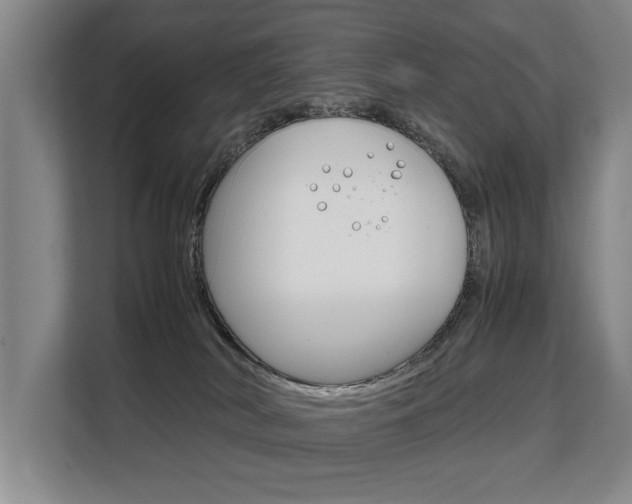 X0000108480038200904031128