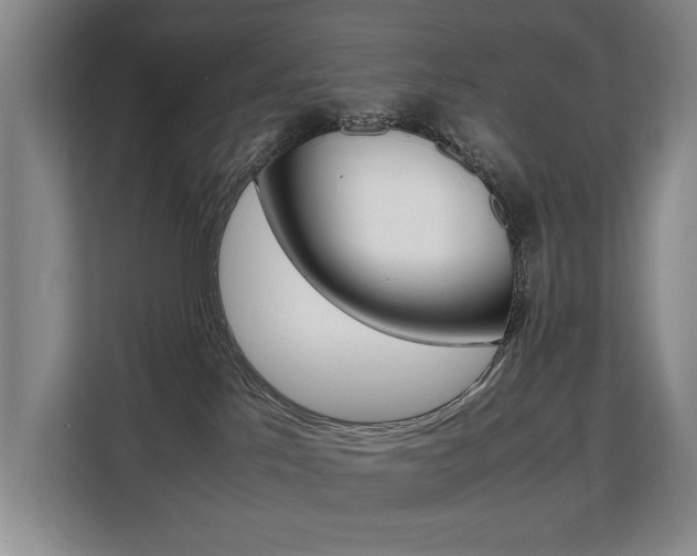 X0000108480041200904031128