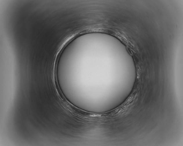 X0000108480052200904031127