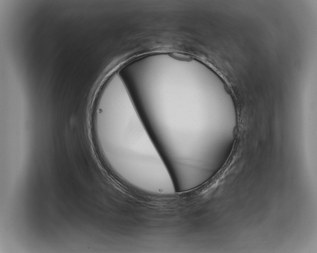 X0000108480055200904031127