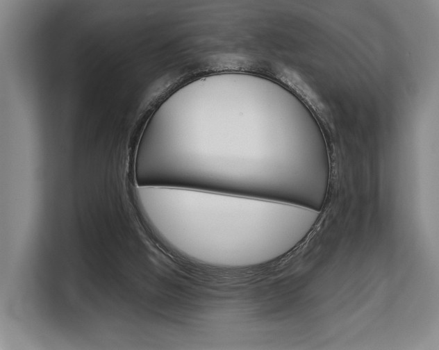X0000108480058200904031127