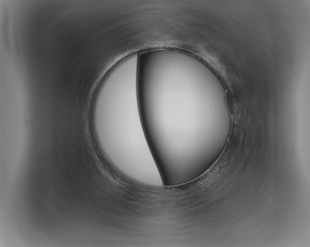 X0000108480060200904031128