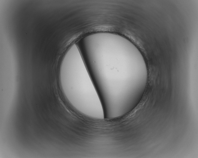 X0000108480062200904031128