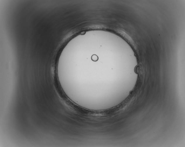 X0000108480063200904031128
