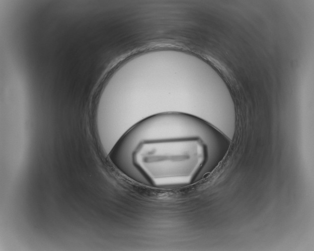 X0000108480064200904031128