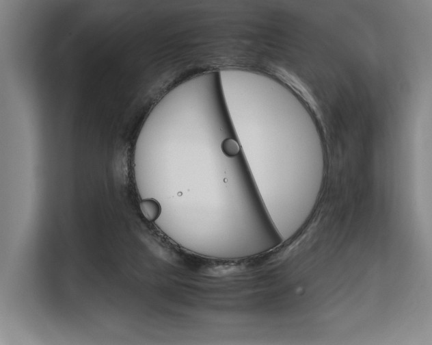 X0000108480065200904031128