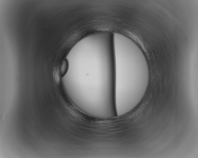 X0000108480069200904031128