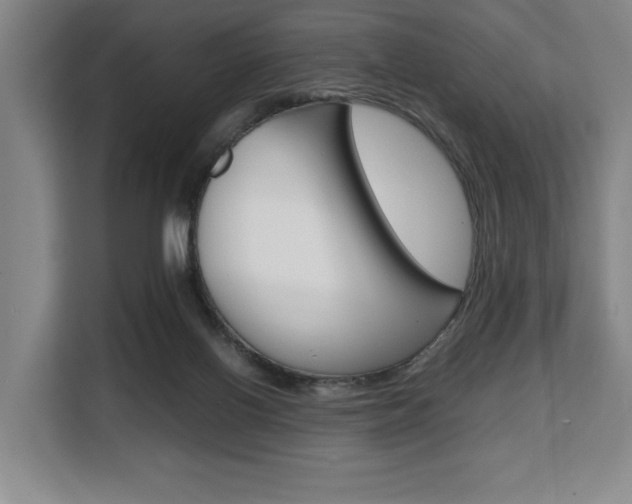 X0000108480070200904031128