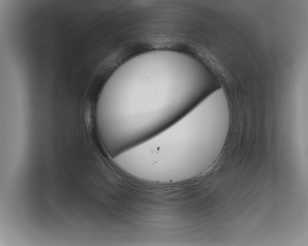 X0000108480074200904031128