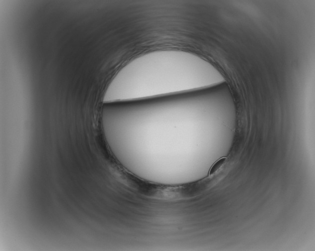X0000108480078200904031128