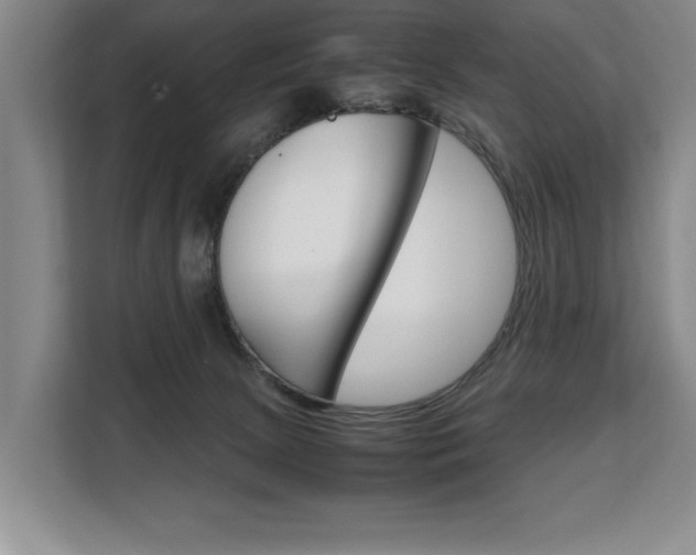 X0000108480081200904031128