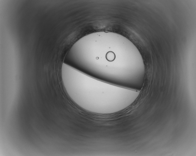 X0000108480085200904031128