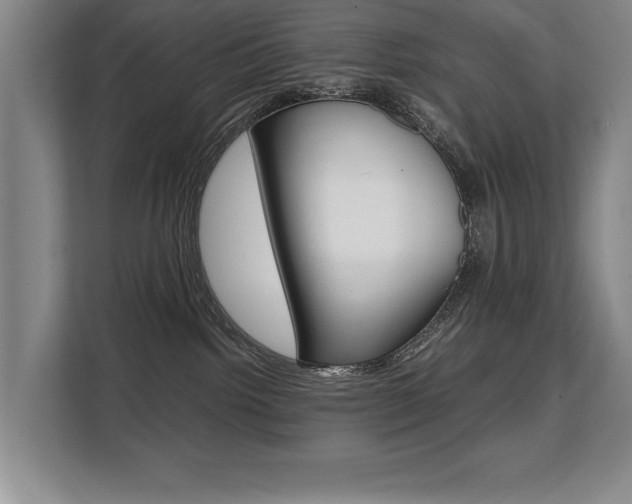 X0000108480092200904031128