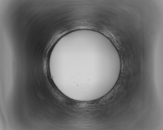 X0000108480098200904031127