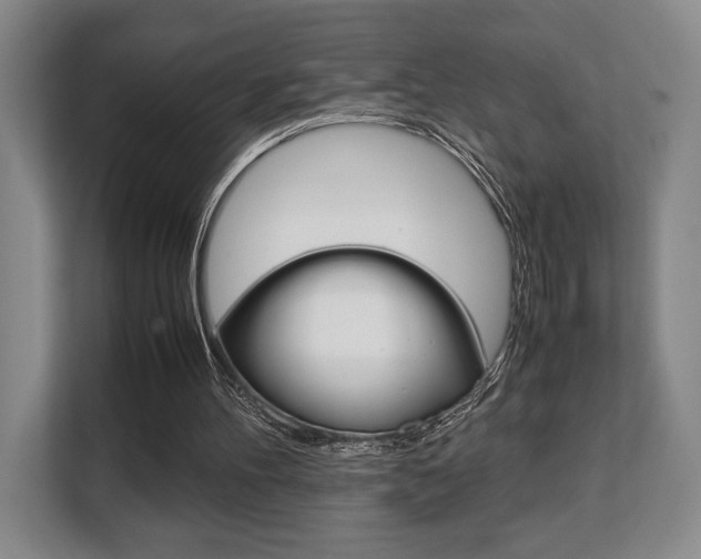 X0000108480100200904031127