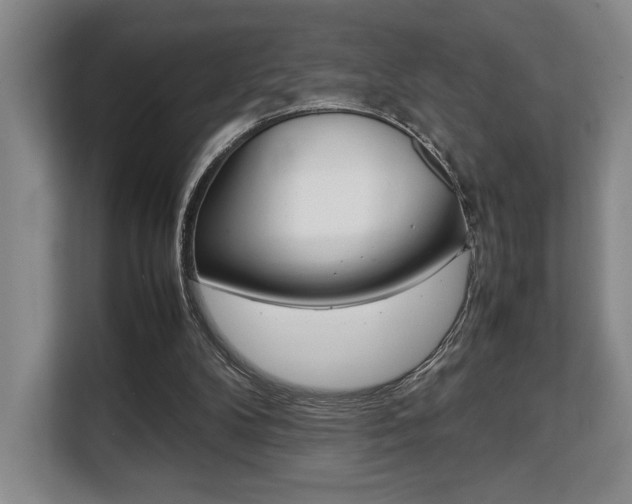 X0000108480104200904031127