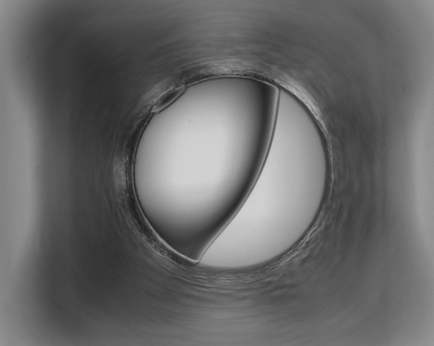 X0000108480105200904031127