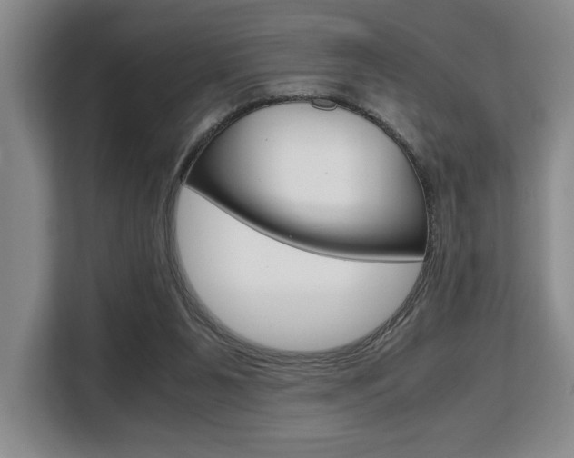 X0000108480111200904031127