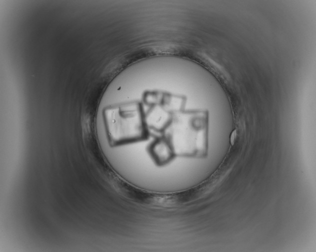 X0000108480117200904031127