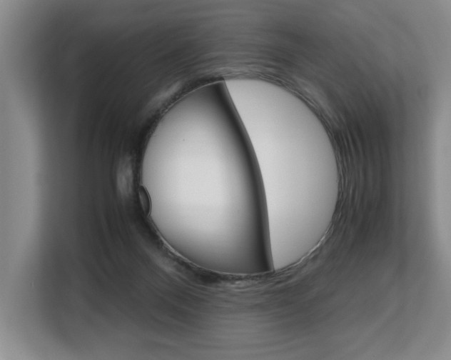 X0000108480120200904031127