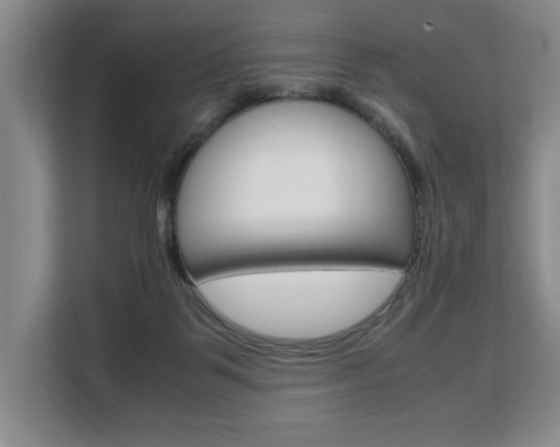 X0000108480123200904031127